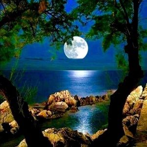 🌝♥️🌝♥️🌝♥️🌝♥️🌝♥️